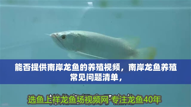 能否提供南岸龍魚的養殖視頻，南岸龍魚養殖常見問題清單，