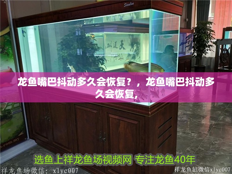 龍魚(yú)嘴巴抖動(dòng)多久會(huì)恢復(fù)？，龍魚(yú)嘴巴抖動(dòng)多久會(huì)恢復(fù),