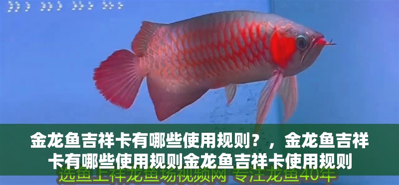 金龍魚吉祥卡有哪些使用規則？，金龍魚吉祥卡有哪些使用規則金龍魚吉祥卡使用規則