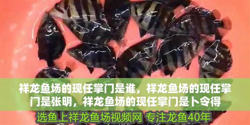 祥龍魚場的現(xiàn)任掌門是誰，祥龍魚場的現(xiàn)任掌門是張明，祥龍魚場的現(xiàn)任掌門是卜令得
