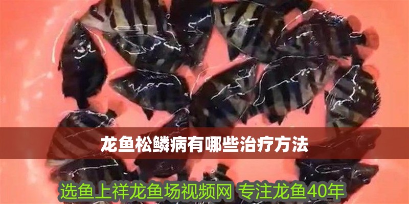 龍魚松鱗病有哪些治療方法