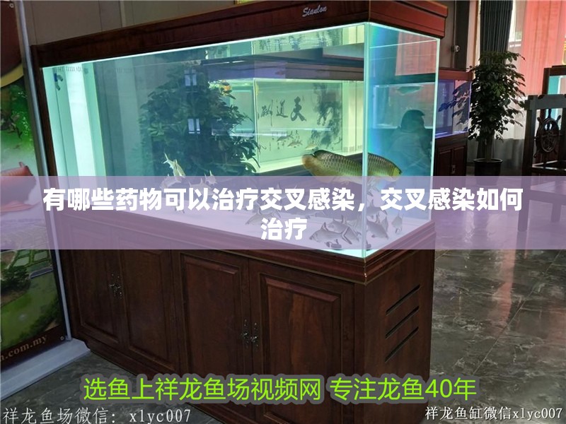 有哪些藥物可以治療交叉感染，交叉感染如何治療
