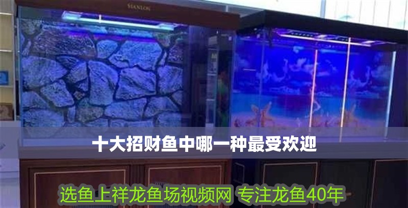 十大招財魚中哪一種最受歡迎