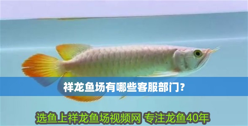 祥龍魚場(chǎng)有哪些客服部門？