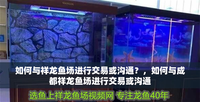如何與祥龍魚場進行交易或溝通？，如何與成都祥龍魚場進行交易或溝通