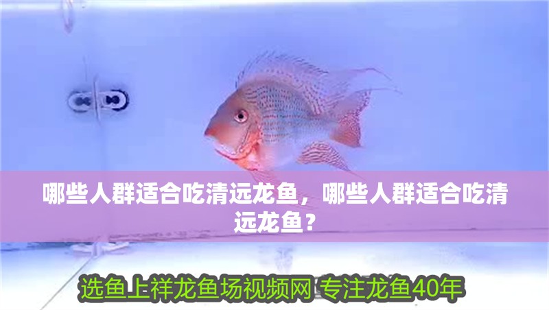 哪些人群適合吃清遠龍魚，哪些人群適合吃清遠龍魚？