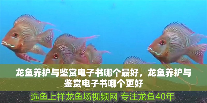 龍魚養護與鑒賞電子書哪個最好，龍魚養護與鑒賞電子書哪個更好