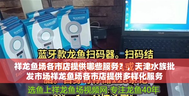 祥龍魚場各市店提供哪些服務？，天津水族批發市場祥龍魚場各市店提供多樣化服務