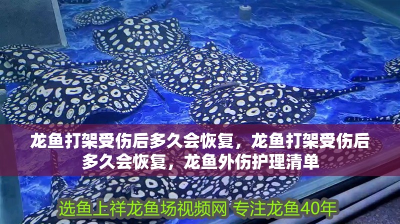 龍魚打架受傷后多久會(huì)恢復(fù)，龍魚打架受傷后多久會(huì)恢復(fù)，龍魚外傷護(hù)理清單