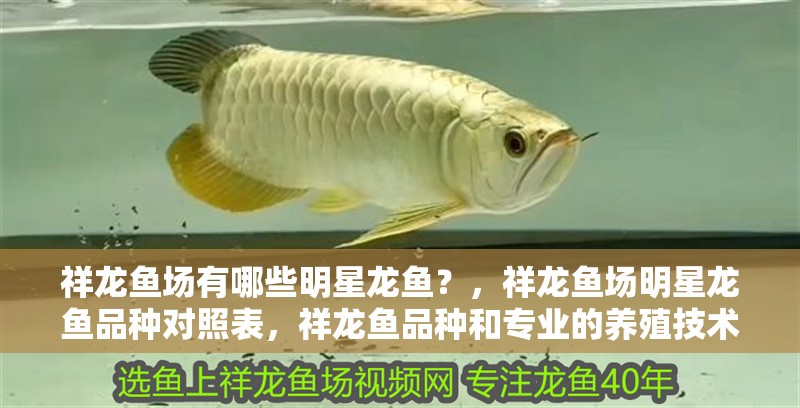 祥龍魚場有哪些明星龍魚？，祥龍魚場明星龍魚品種對照表，祥龍魚品種和專業的養殖技術