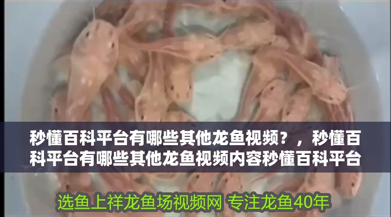 秒懂百科平臺有哪些其他龍魚視頻?,秒懂百科平臺有哪些其他龍魚視頻內容秒懂百科平臺
