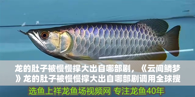 龍的肚子被慢慢撐大出自哪部劇，《云間鱗夢》龍的肚子被慢慢撐大出自哪部劇調用全球搜檢索6篇資料