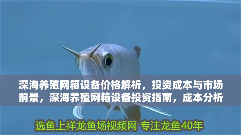 深海養殖網箱設備價格解析，投資成本與市場前景，深海養殖網箱設備投資指南，成本分析及市場前景預測 深海養殖網箱設備價格解析，投資成本與市場前景，深海養殖網箱設備投資指南，成本分析及市場前景預測 龍魚百科 第1張