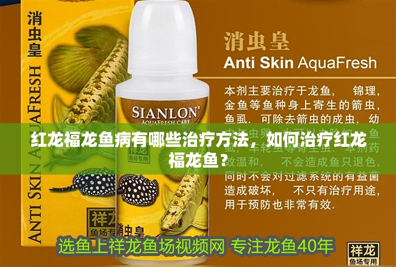 紅龍福龍魚病有哪些治療方法，如何治療紅龍福龍魚？