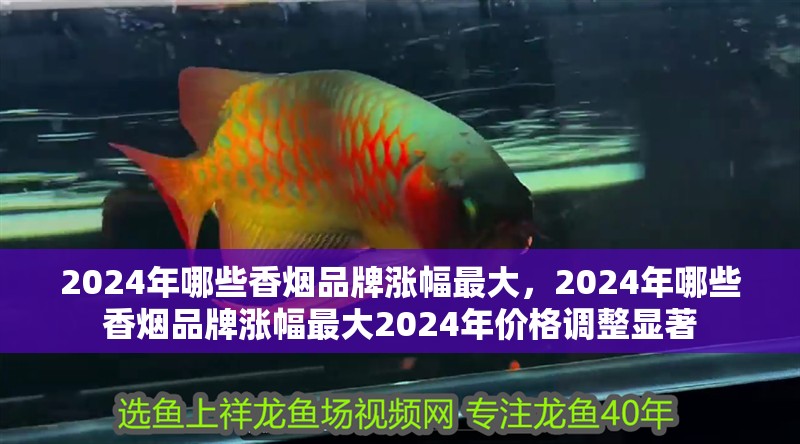 2024年哪些香煙品牌漲幅最大,2024年哪些香煙品牌漲幅最大2024年價格調整顯著