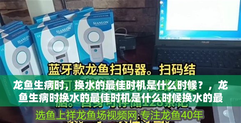 龍魚生病時，換水的最佳時機是什么時候？，龍魚生病時換水的最佳時機是什么時候換水的最佳時機是什么時候