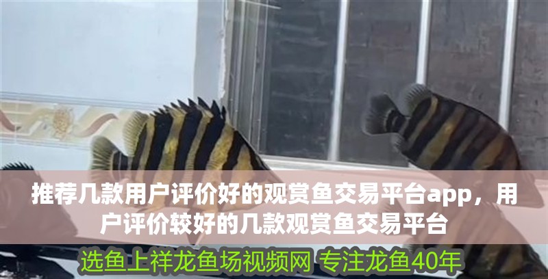 推薦幾款用戶評價好的觀賞魚交易平臺app，用戶評價較好的幾款觀賞魚交易平臺