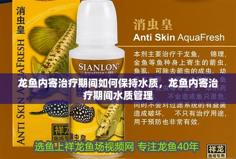 龍魚內(nèi)寄治療期間如何保持水質(zhì)，龍魚內(nèi)寄治療期間水質(zhì)管理