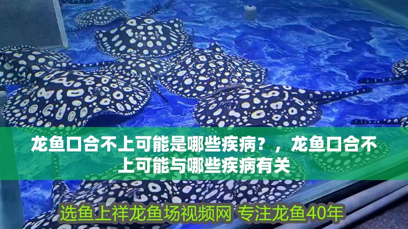 龍魚口合不上可能是哪些疾病？，龍魚口合不上可能與哪些疾病有關