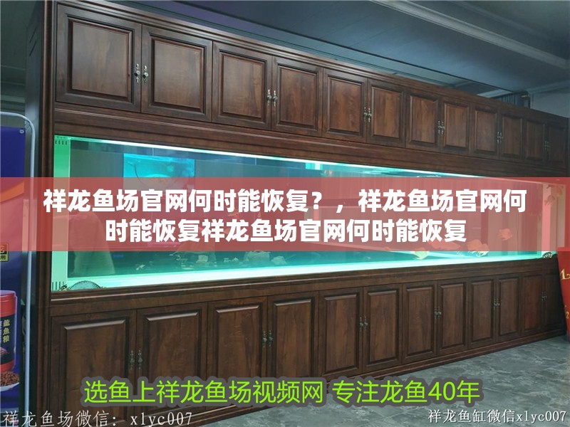 祥龍魚場官網(wǎng)何時能恢復？，祥龍魚場官網(wǎng)何時能恢復祥龍魚場官網(wǎng)何時能恢復