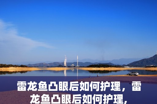 雷龍魚凸眼后如何護(hù)理，雷龍魚凸眼后如何護(hù)理,