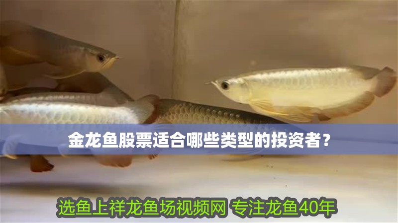 金龍魚(yú)股票適合哪些類(lèi)型的投資者？