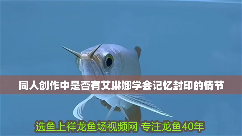 同人創(chuàng)作中是否有艾琳娜學會記憶封印的情節(jié)