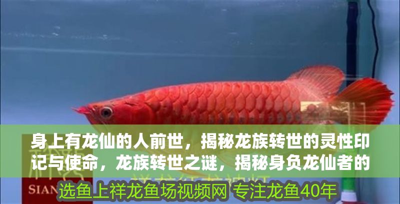 身上有龍仙的人前世，揭秘龍族轉世的靈性印記與使命，龍族轉世之謎，揭秘身負龍仙者的前世印記與天命使命