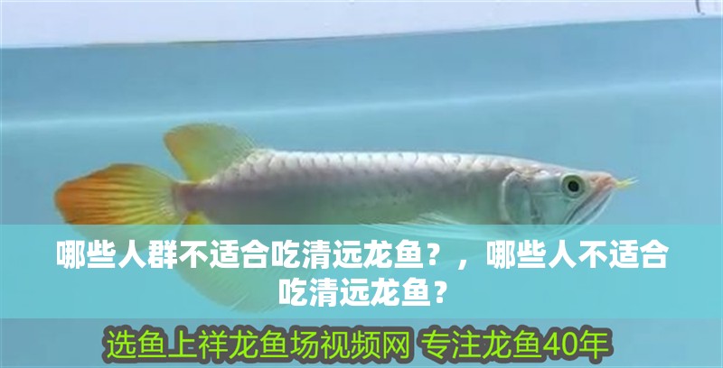 哪些人群不適合吃清遠龍魚？，哪些人不適合吃清遠龍魚？