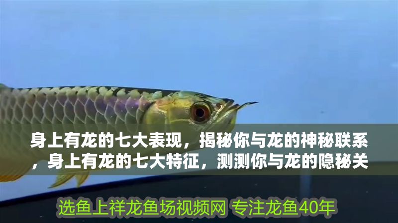 身上有龍的七大表現(xiàn),揭秘你與龍的神秘聯(lián)系,身上有龍的七大特征,測測你與龍的隱秘關(guān)聯(lián)! 龍魚百科 第1張 身上有龍的七大表現(xiàn),揭秘你與龍的神秘聯(lián)系,身上有龍的七大特征,測測你與龍的隱秘關(guān)聯(lián)! 身上有龍的七大表現(xiàn),揭秘你與龍的神秘聯(lián)系,身上有龍的七大特征,測測你與龍的隱秘關(guān)聯(lián)! 龍魚百科 第1張