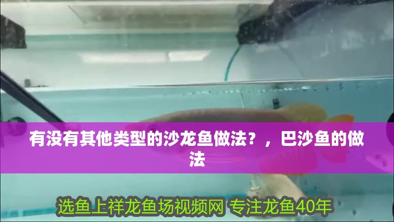 有沒有其他類型的沙龍魚做法？，巴沙魚的做法