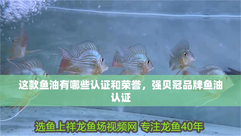 這款魚油有哪些認證和榮譽，強貝冠品牌魚油認證