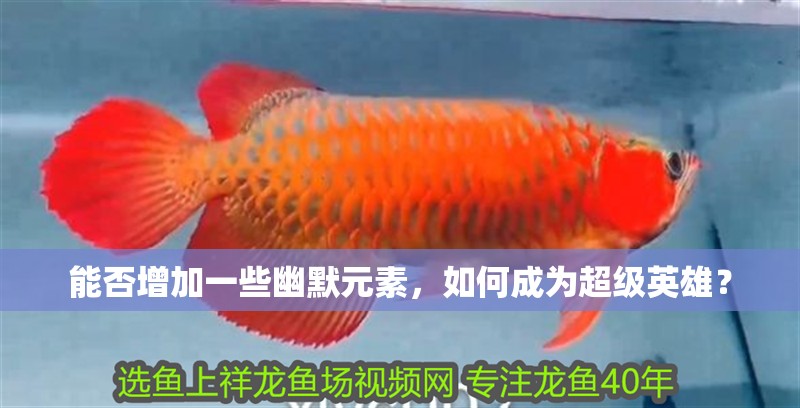能否增加一些幽默元素，如何成為超級英雄？