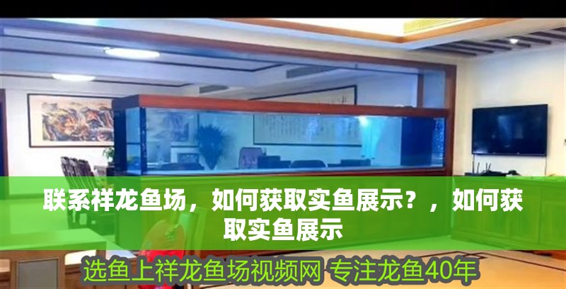 聯系祥龍魚場，如何獲取實魚展示？，如何獲取實魚展示