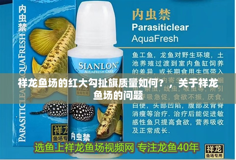 祥龍魚場的紅大勾扯旗質(zhì)量如何？，關(guān)于祥龍魚場的問題
