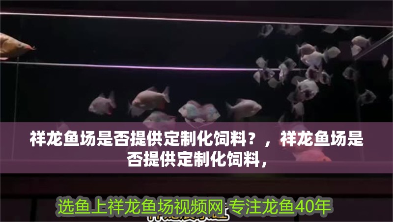 祥龍魚場是否提供定制化飼料？，祥龍魚場是否提供定制化飼料，