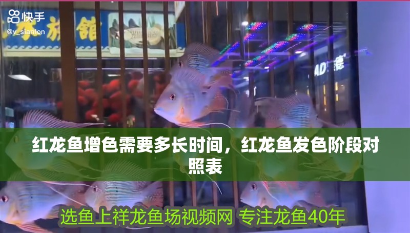 紅龍魚(yú)增色需要多長(zhǎng)時(shí)間，紅龍魚(yú)發(fā)色階段對(duì)照表