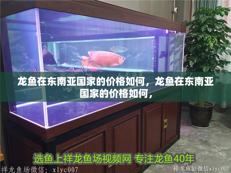 龍魚在東南亞國家的價格如何，龍魚在東南亞國家的價格如何，
