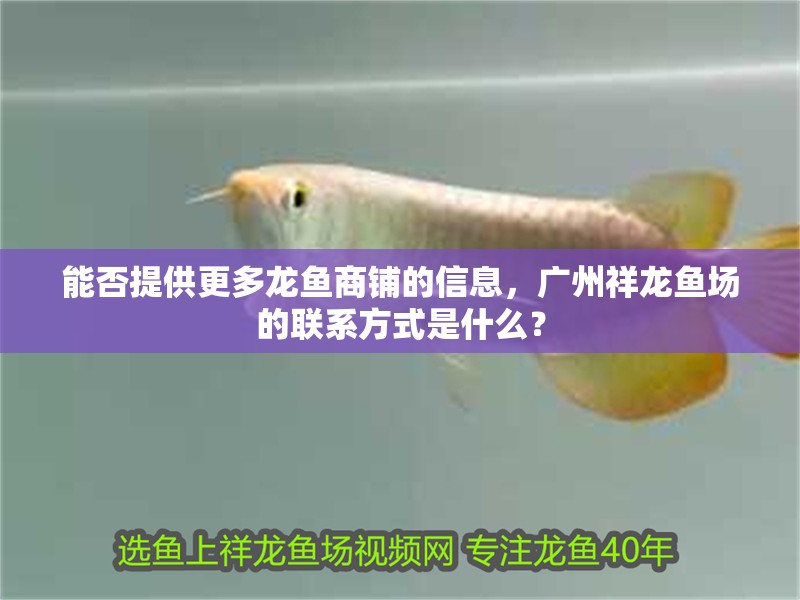 能否提供更多龍魚商鋪的信息，廣州祥龍魚場的聯系方式是什么？