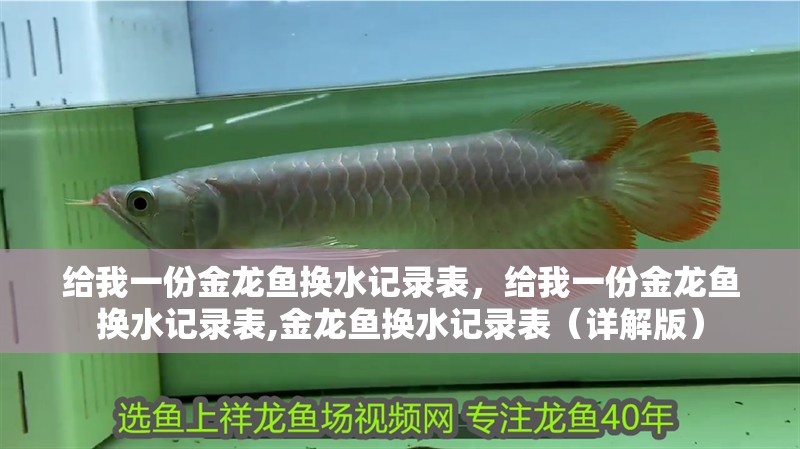 給我一份金龍魚換水記錄表，給我一份金龍魚換水記錄表,金龍魚換水記錄表（詳解版）