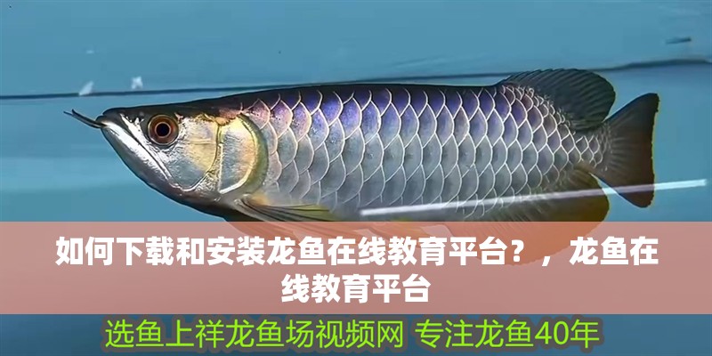 如何下載和安裝龍魚(yú)在線教育平臺(tái)？，龍魚(yú)在線教育平臺(tái)