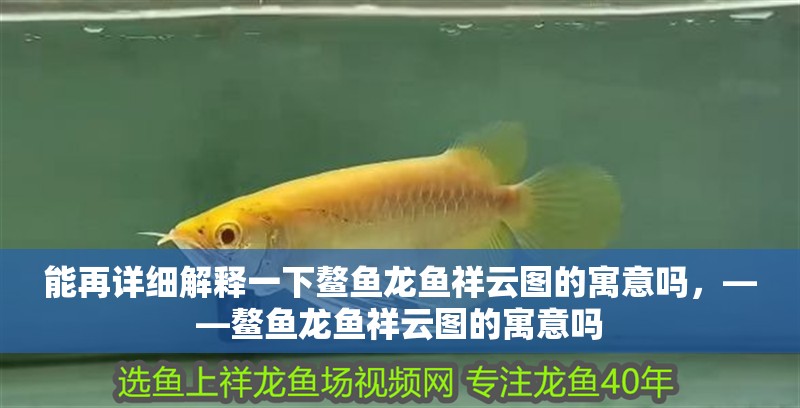 能再詳細解釋一下鰲魚龍魚祥云圖的寓意嗎，——鰲魚龍魚祥云圖的寓意嗎