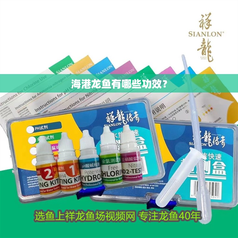 海港龍魚有哪些功效？