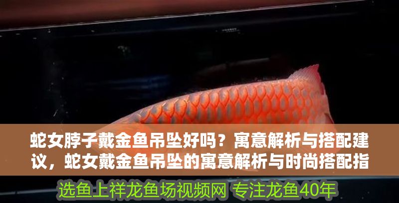 蛇女脖子戴金魚吊墜好嗎？寓意解析與搭配建議，蛇女戴金魚吊墜的寓意解析與時尚搭配指南