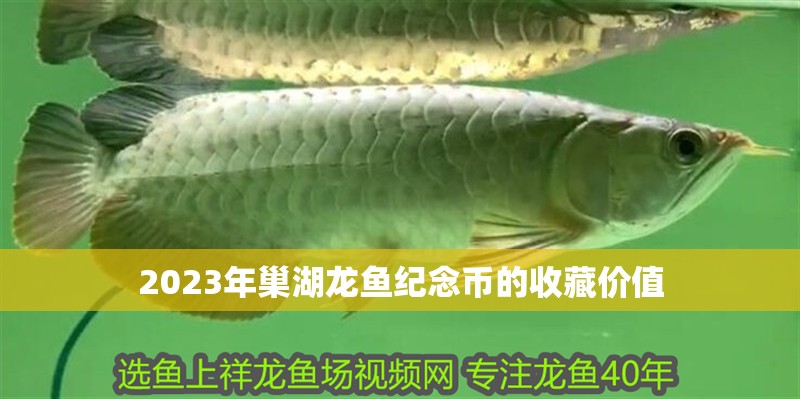 2023年巢湖龍魚紀念幣的收藏價值