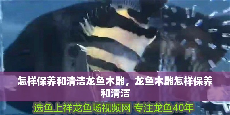 怎樣保養(yǎng)和清潔龍魚木雕，龍魚木雕怎樣保養(yǎng)和清潔