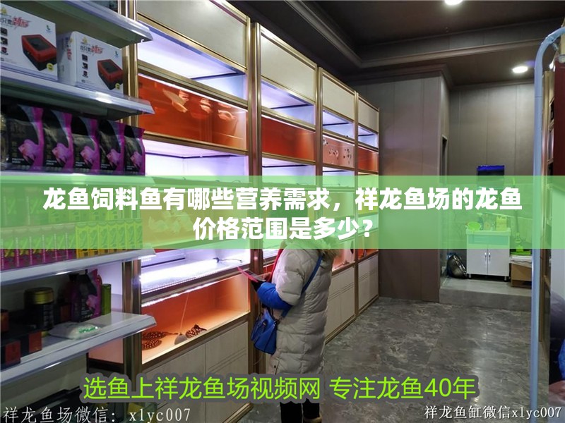 龍魚飼料魚有哪些營養需求,祥龍魚場的龍魚價格范圍是多少?