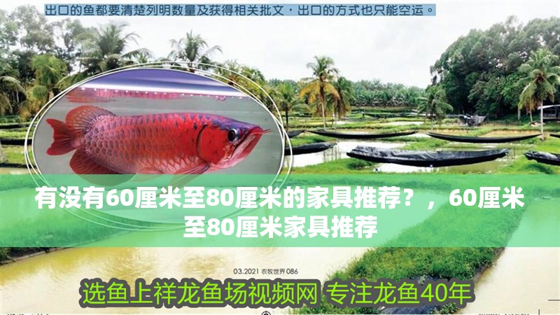 有沒有60厘米至80厘米的家具推薦?,60厘米至80厘米家具推薦
