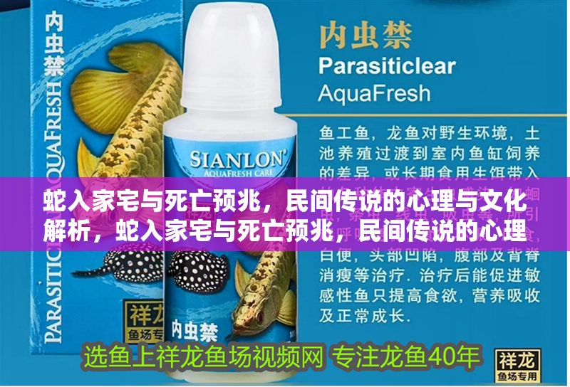 蛇入家宅與死亡預(yù)兆，民間傳說(shuō)的心理與文化解析，蛇入家宅與死亡預(yù)兆，民間傳說(shuō)的心理根源與文化象征解析