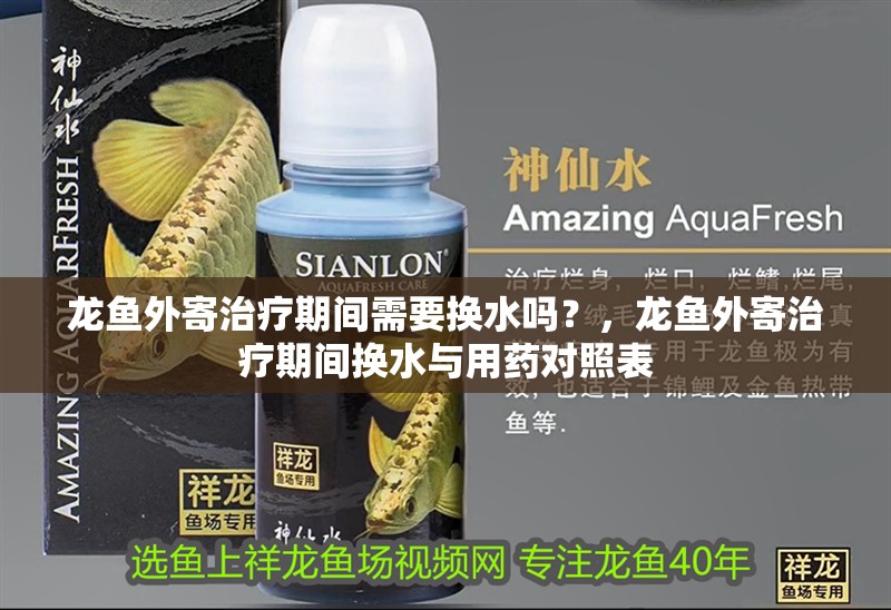 龍魚外寄治療期間需要換水嗎？，龍魚外寄治療期間換水與用藥對照表